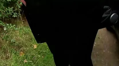 menina fritar beleza em maiô verde em dois tronco xvideos romântico